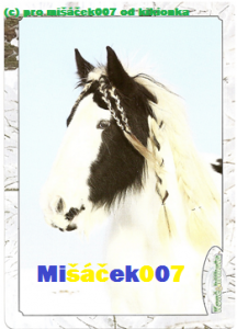 misacek007-avatar.png